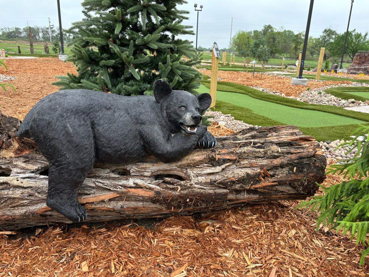 There are lots of animals depicted at the new Mega Pines Mini Golf, so even the tiniest children can learn and have fun.