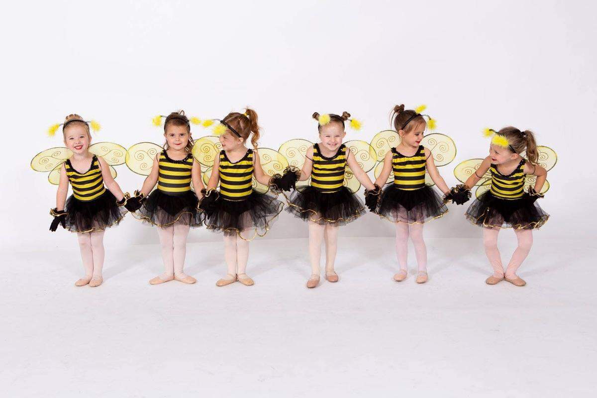 At the new Midwest Dance Mechanix in Andover, there will be tap, ballet, hip hop, lyrical, point and contemporary dance instruction for ages 18 months through adults.