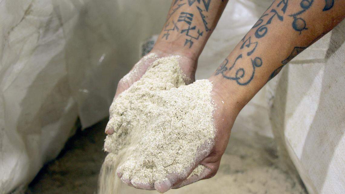 This tribe in Kansas is building new products — and houses — with its hemp