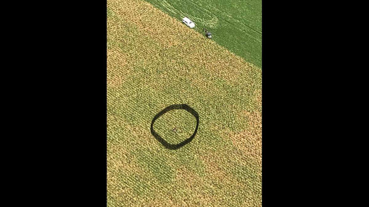 A Kansas Highway Patrol plane assisted Maize police and Sedgwick County sheriff’s deputies in a manhunt in a cornfield on Friday morning.