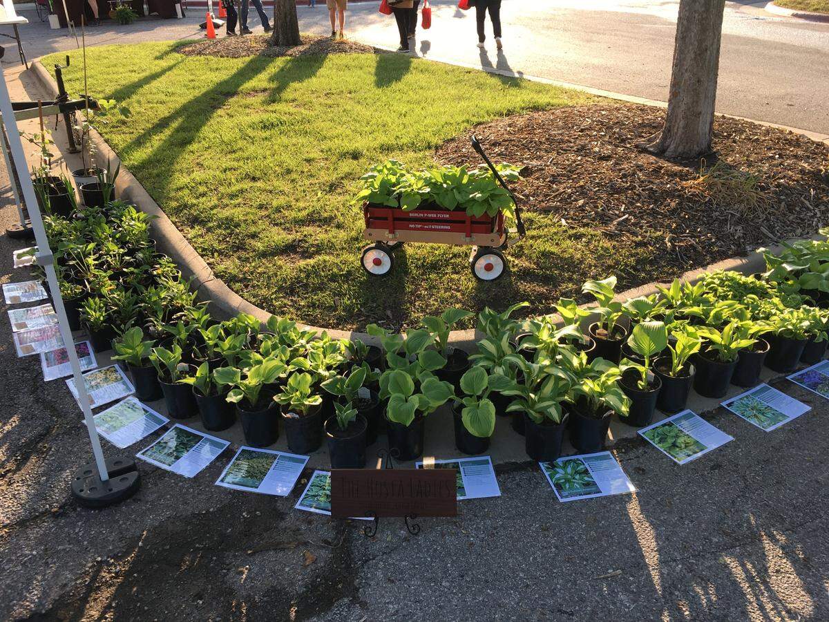 Though woodworking is their niche, David and Erin Graver also started a perennial plant business under their brand. “It’s turned into, like, a mini nursery,” David Graver said. Their five children help with it, too.