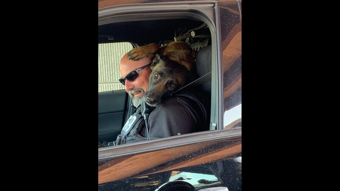 Newton police officer Tony Hawpe’s K-9, Bella, appears from the back of his patrol vehicle. Bella had to be put down in June after a medical emergency.