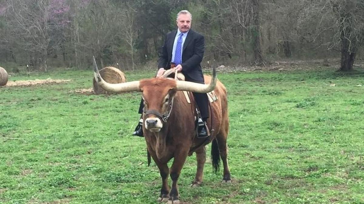 Wichita lawyer Brad Pistotnik is well known for riding longhorn steer in his television and billboard commercials. He is expected to soon have his law license suspended in Kansas.