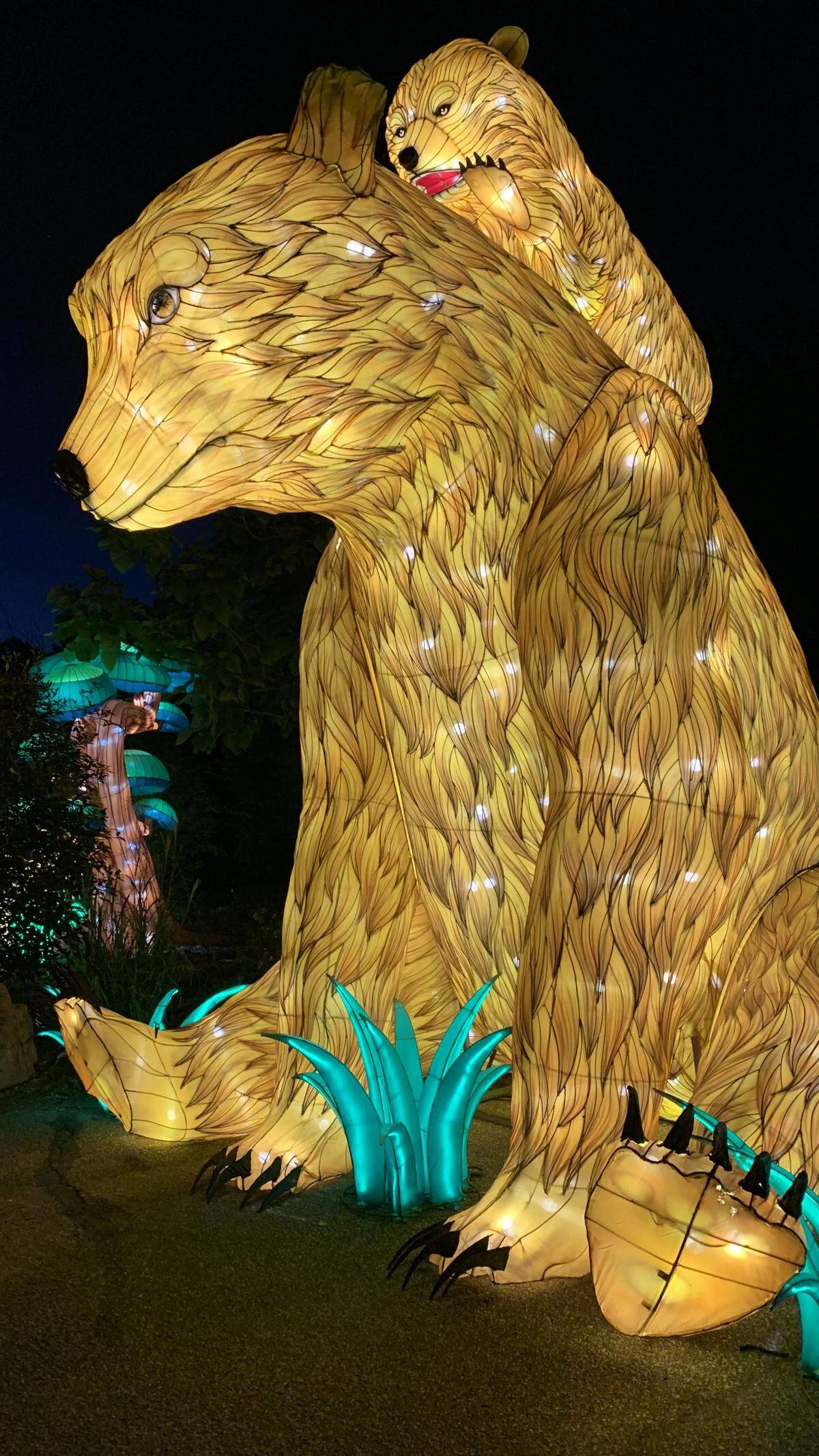 A new lantern at this year’s Wild Lights exhibit at the Sedgwick County Zoo