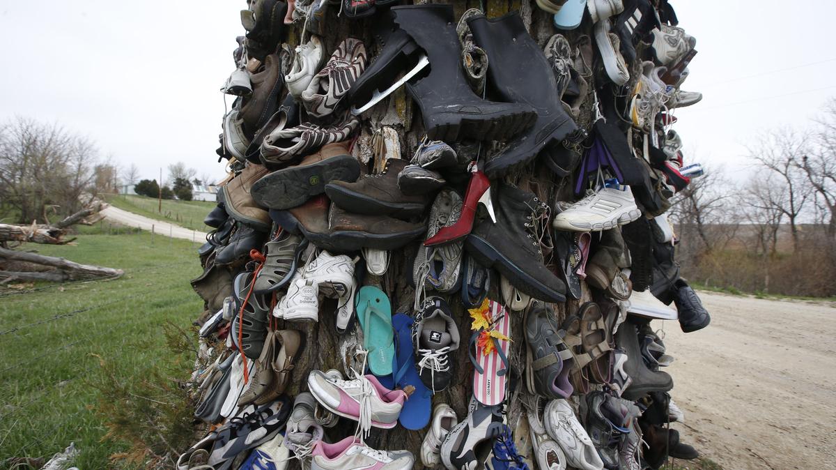 Shoe tree in Nemaha county, Kansas