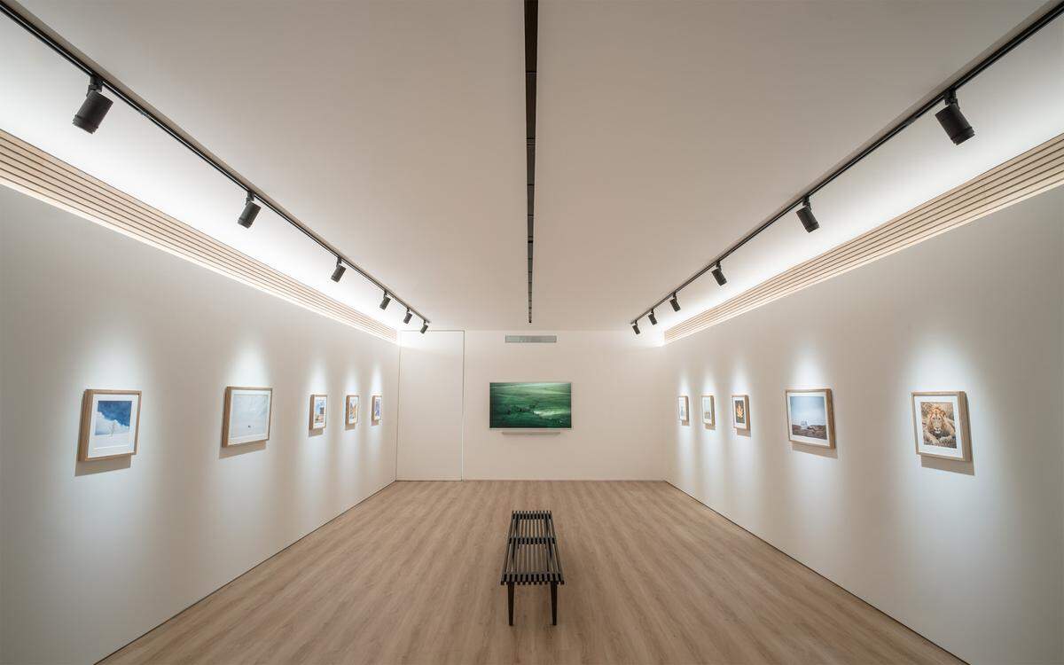 The former Himali Eats space in College Hill has transformed into the Maven Gallery space, which will celebrate a grand opening March 29.