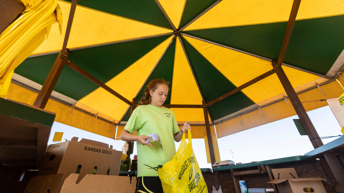 Kilynn Starburd bags up a dozen ears of sweet corn Gaeddert Farms Sweet Corn stand near Central and Tyler. The familiar green and yellow canopies are common sights around Wichita and other Kansas communities in the summer.