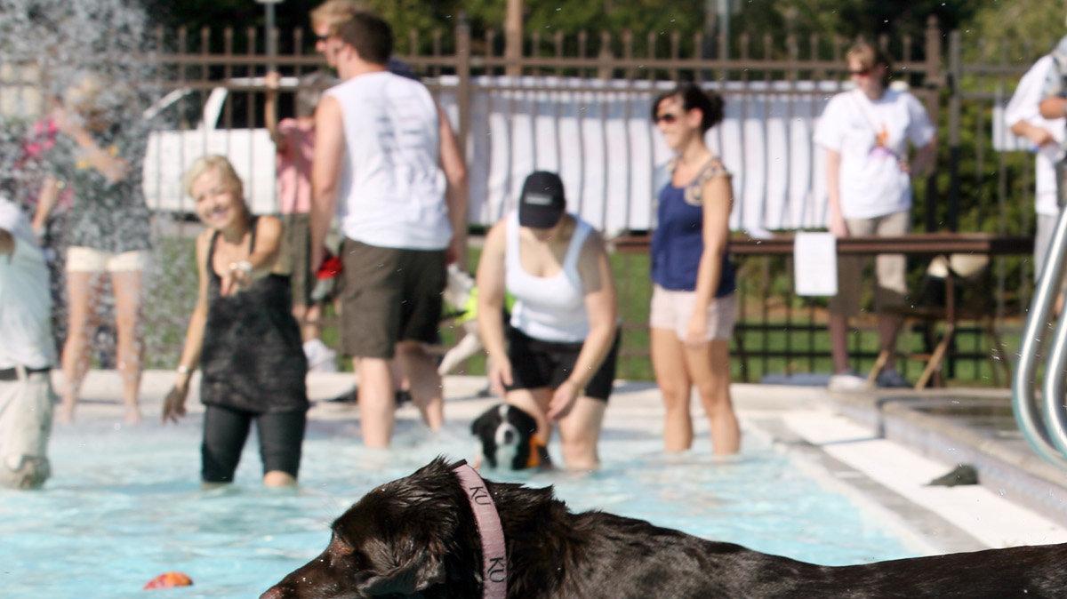 College Hill Pool’s annual Dog Days of Summer event happens on Monday.