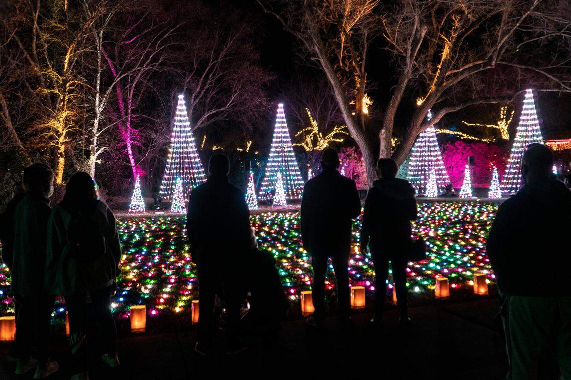 Visitors to Botanica’s Illuminations watch lights choreographed to music in an open field. (November 27, 2020)