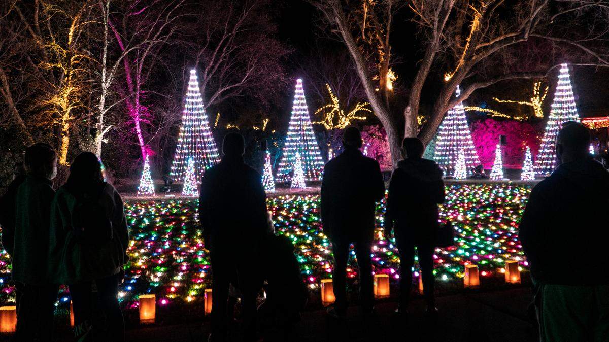 Visitors to Botanica’s Illuminations watch lights choreographed to music in an open field. (November 27, 2020)

