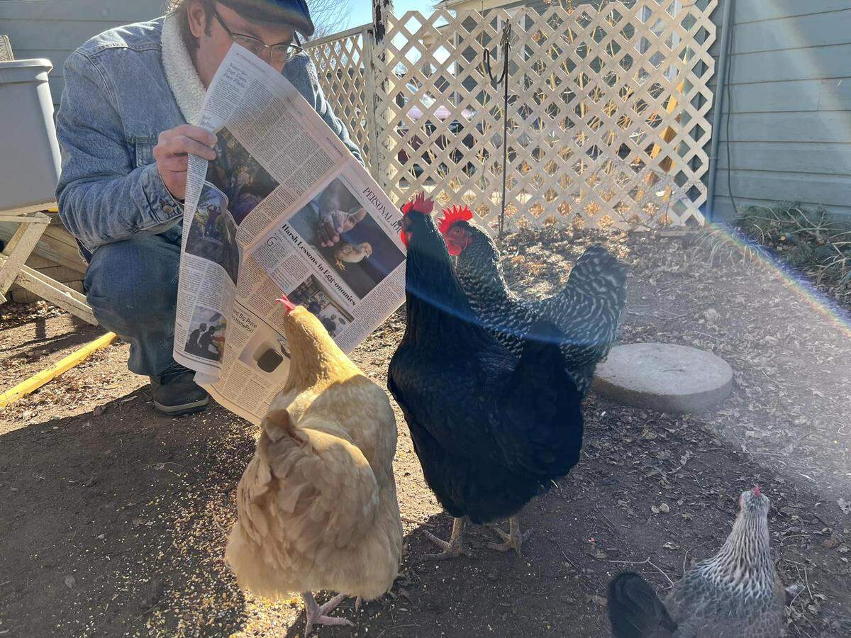 Newton resident Justin Kraemer shares a copy of The Wall Street Journal with his chickens after they all appeared in a story about the high costs of eggs, even for backyard chicken farmers.