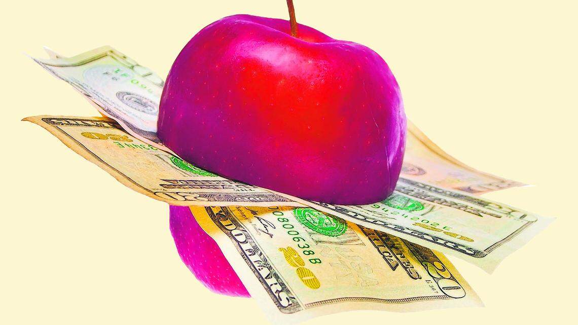 These area school districts have bond issue elections. Here are details