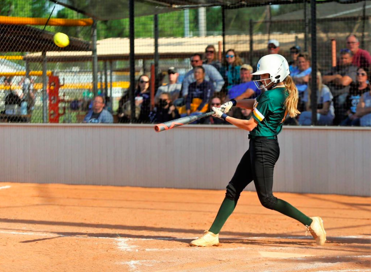 Bishop Carroll junior Kiley Brewster was a first team all-state softball player this season after leading the Golden Eagles to the Class 5A state championship.