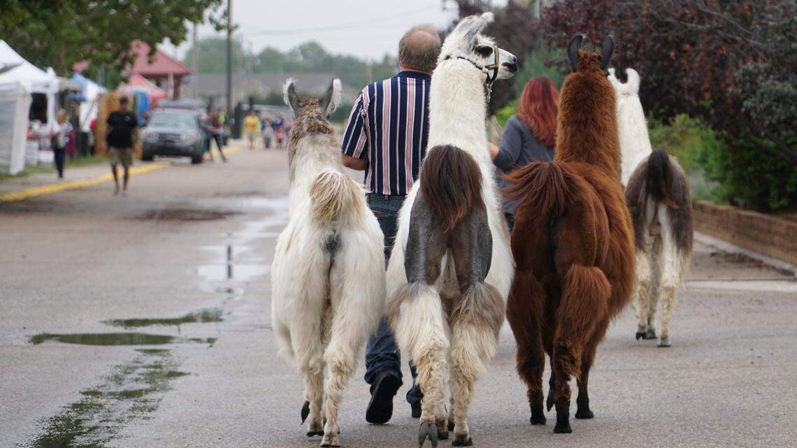 A few ways to save money on your Kansas State Fair visit