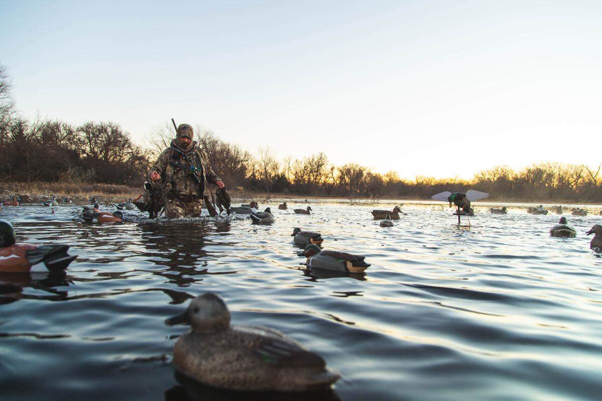 Duck hunting in situ.