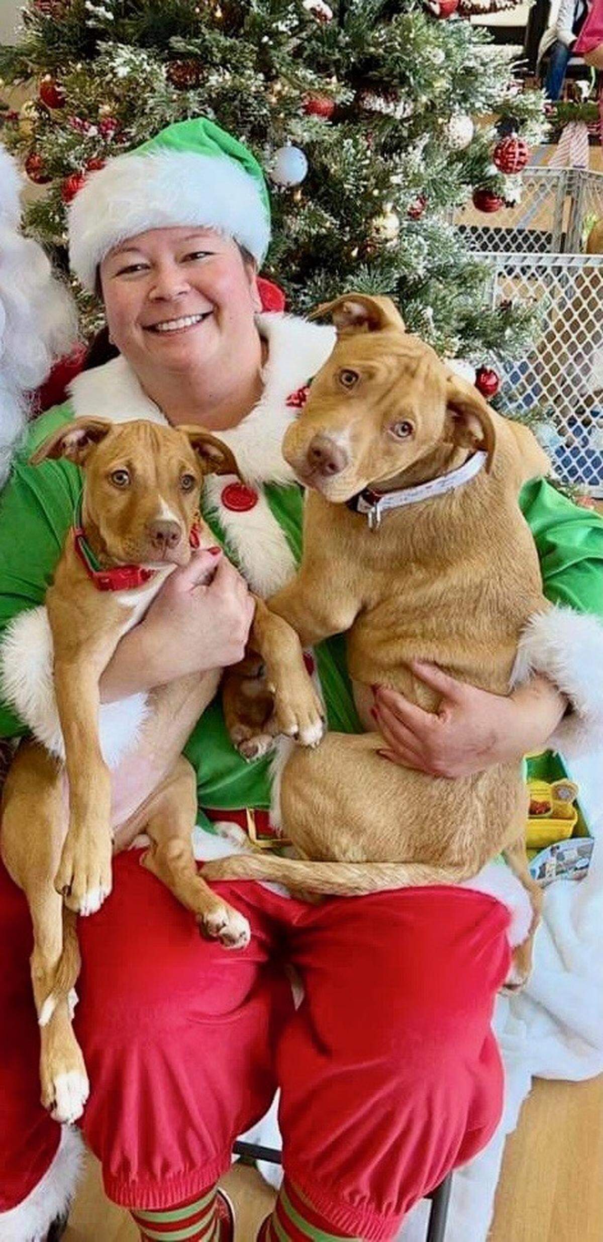 Missy Cribbs, pictured with Jem, left, and Pupcake, has opened Suite Paws with Larissa Adair to offer care for dogs and cats like they would care for their own pets, or kiddos as she called them.