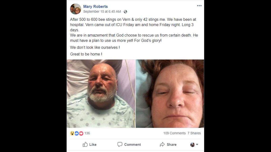 Vern Roberts says he was stung about 600 times while mowing the lawn, and his wife, Mary, says she was stung 42 times while trying to help.