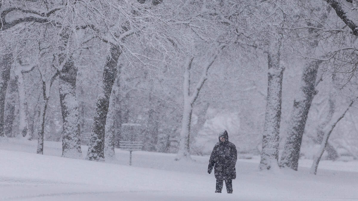 A pedestrian makes their way through Oak Park on Friday morning as a heavy snow fell across the area.