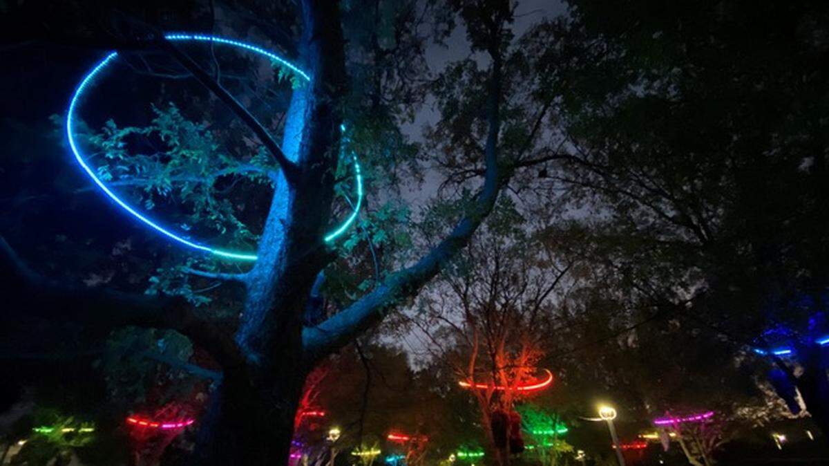 Five Wichita artists and engineers from the TechArtICT collective created and installed the immersive sound and light environment Whispering Woodlands at Exploration Place.
