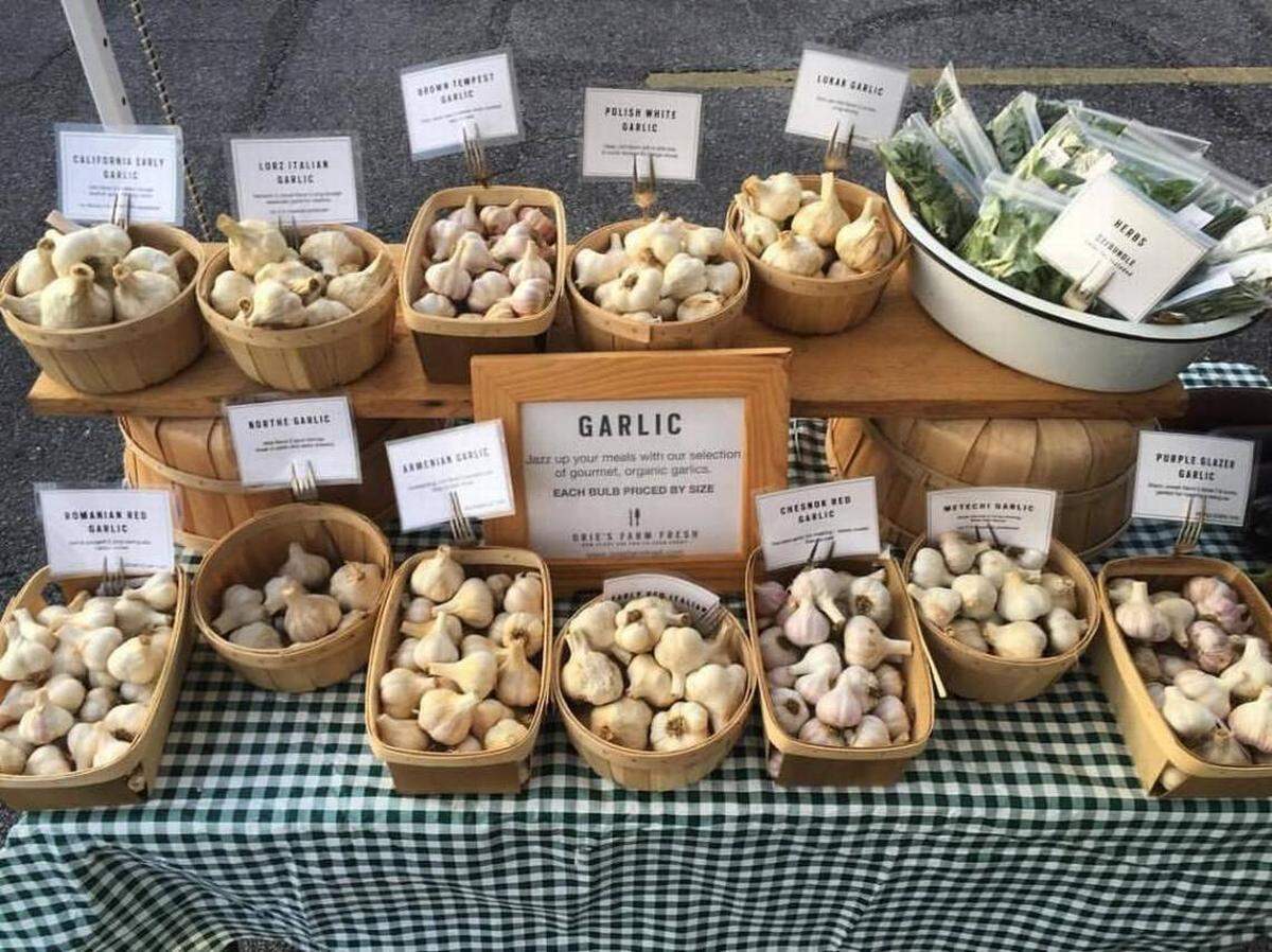 Garlic is the star of the annual Orie’s Garlic Fest, which happens Sunday in Old Town.