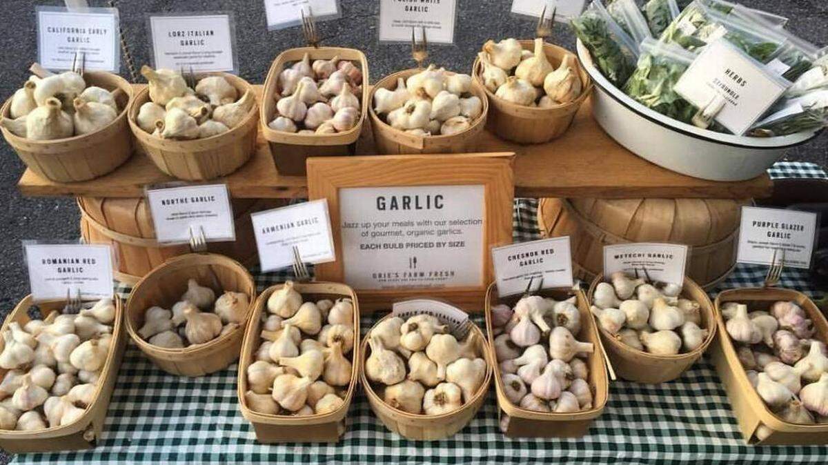 Garlic is the star of the annual Orie’s Garlic Fest, which happens Sunday in Old Town.