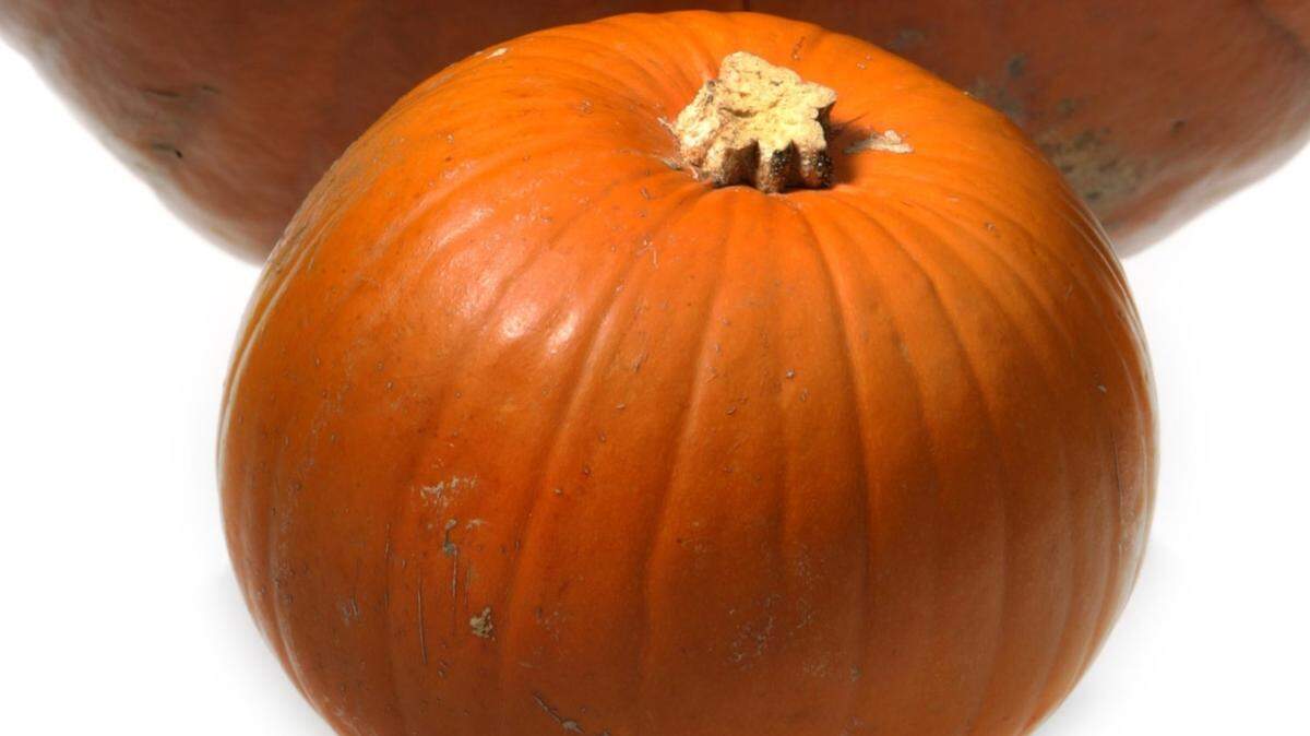 Use a sugar pumpkin for this Pumpkin Chicken Chili recipe.