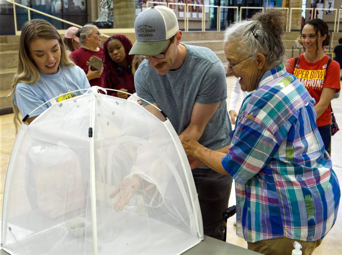 Participants at last year’s inaugural ICT Bee Fest put their hand into a mesh tent to touch male, stinger-free bees at the bumblebee petting zoo.