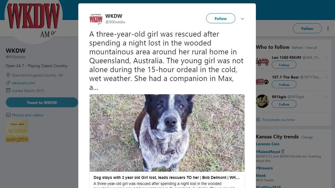 Family dog credited with helping rescue missing 3-year-old girl