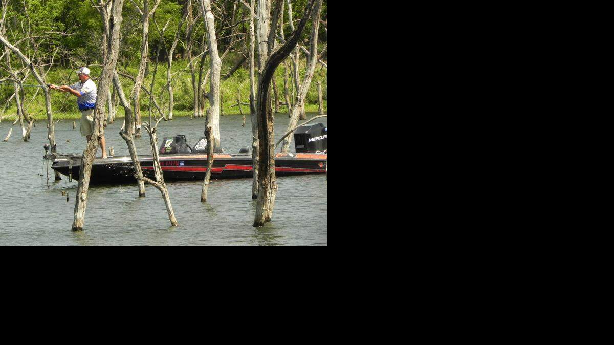 Zac Udock, a guide in southeast Kansas, fished the thick flooded timber of Bone Creek Lake, using a wacky rig with a plastic worm.

