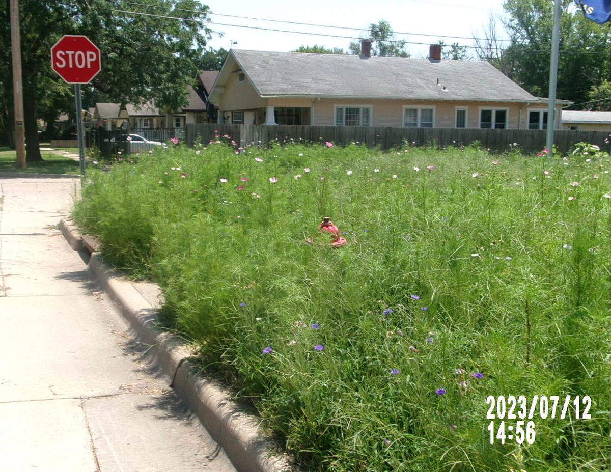 The city shared this photo of the Rose & Peacock Social Club yard, including a partially obscured fire hydrant, to show how it is out of code.