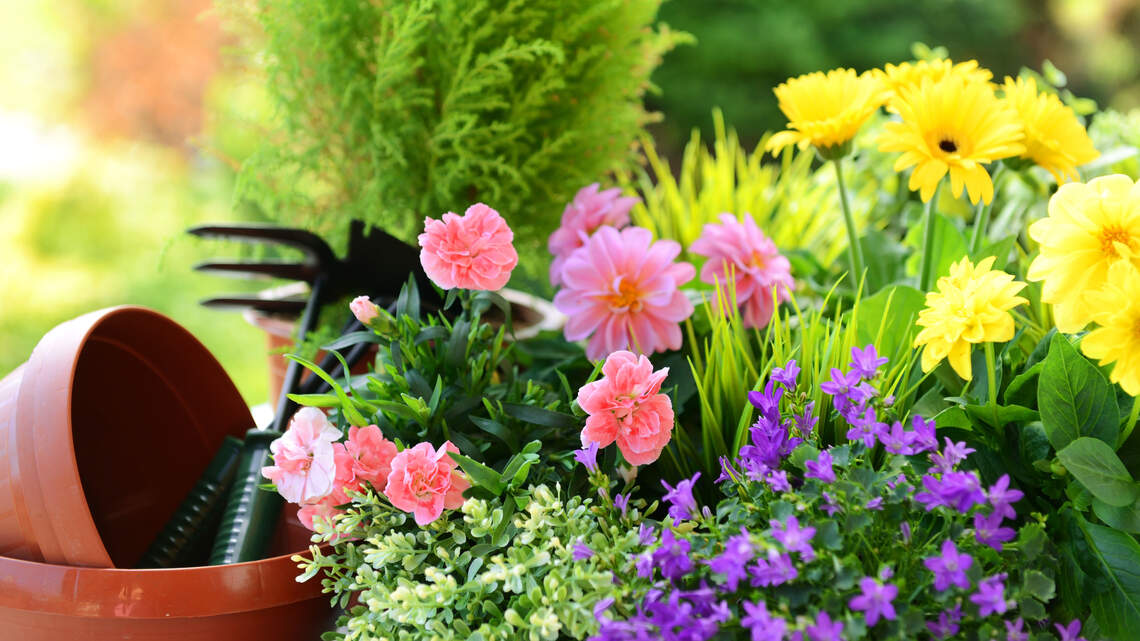 Free spring gardening classes offered at Wichita branch libraries