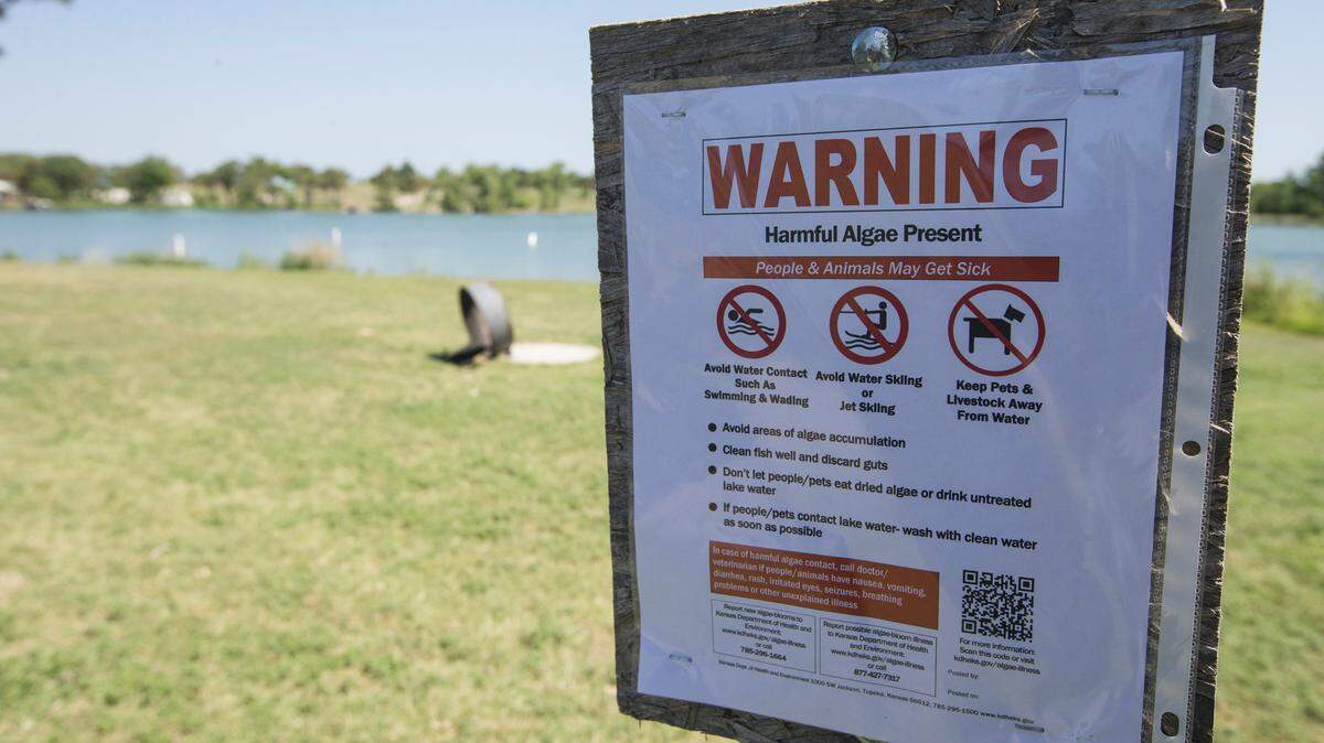 Lake Afton is closed to all boating and swimming due to an algae bloom.