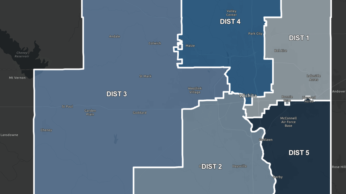 Here’s 10 ways Sedgwick County’s political boundaries could be redrawn