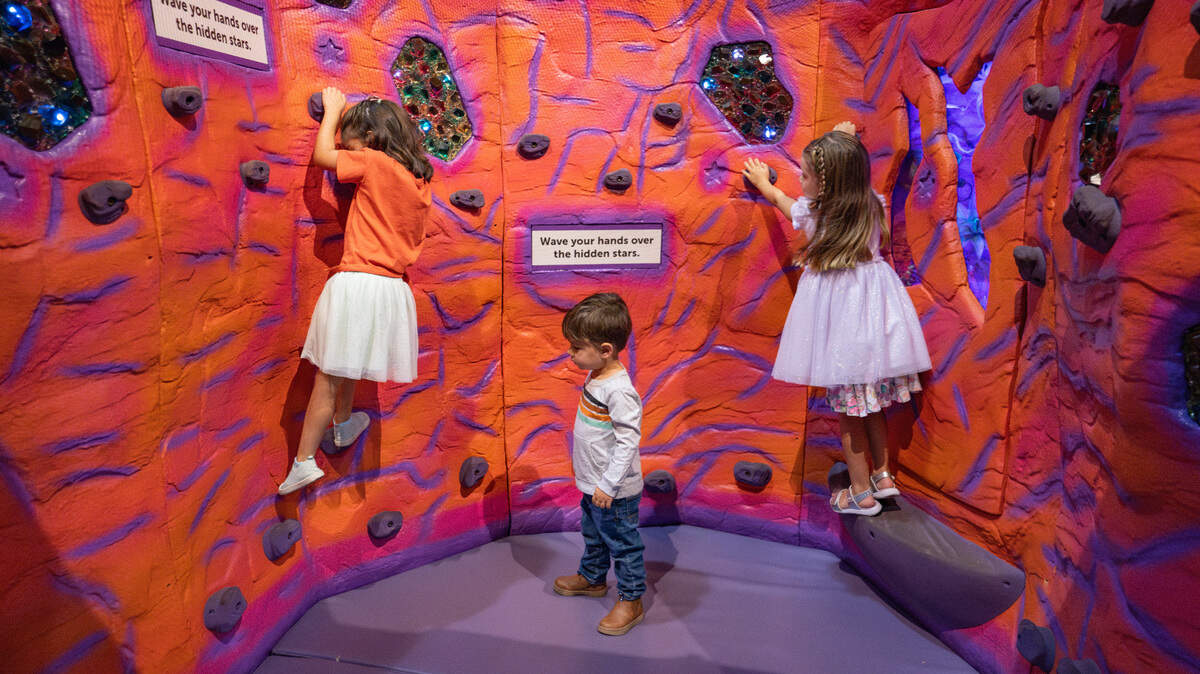 “Barbie: You Can Be Anything: The Experience!” runs May 23 through Sept. 14 at Exploration Place in Wichita. The attraction is one of several local spots participating in Sunflower Summer, which provides free admission to school-aged children.