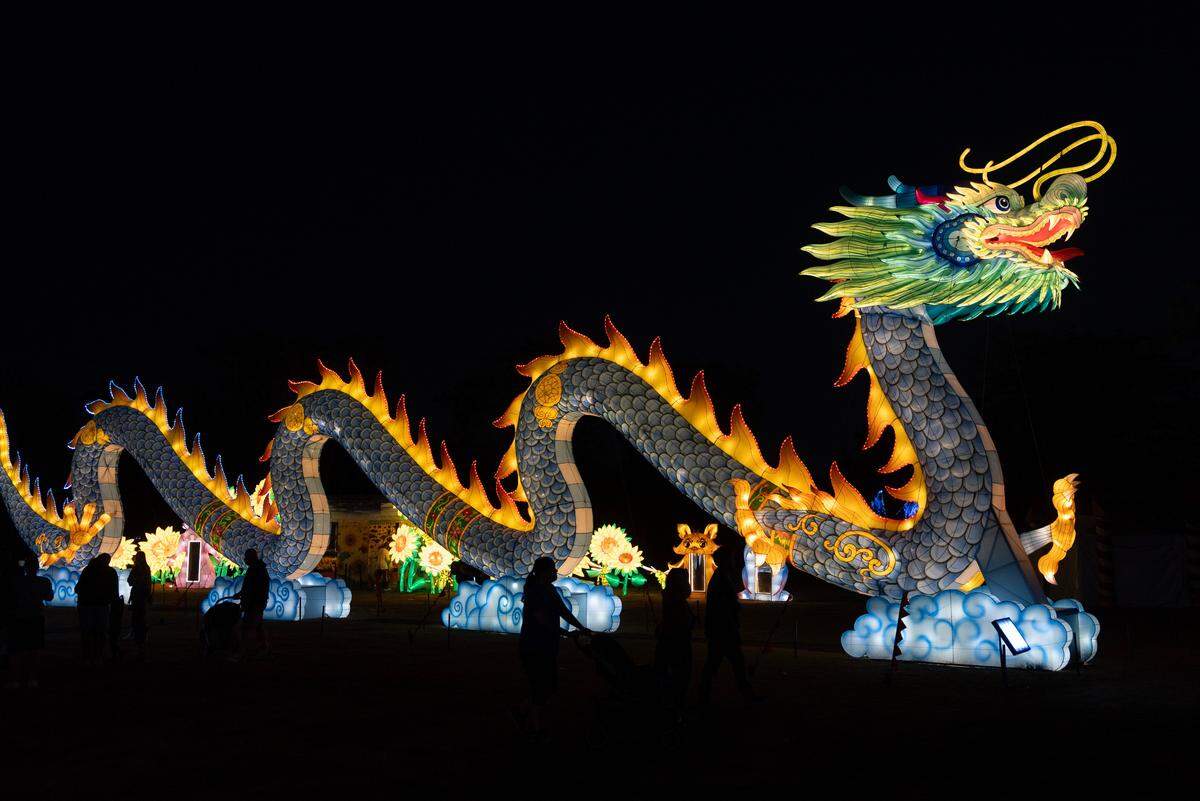 A 100-foot-long glowing dragon is part of the Sedgwick County Zoo’s Wild Lights display.