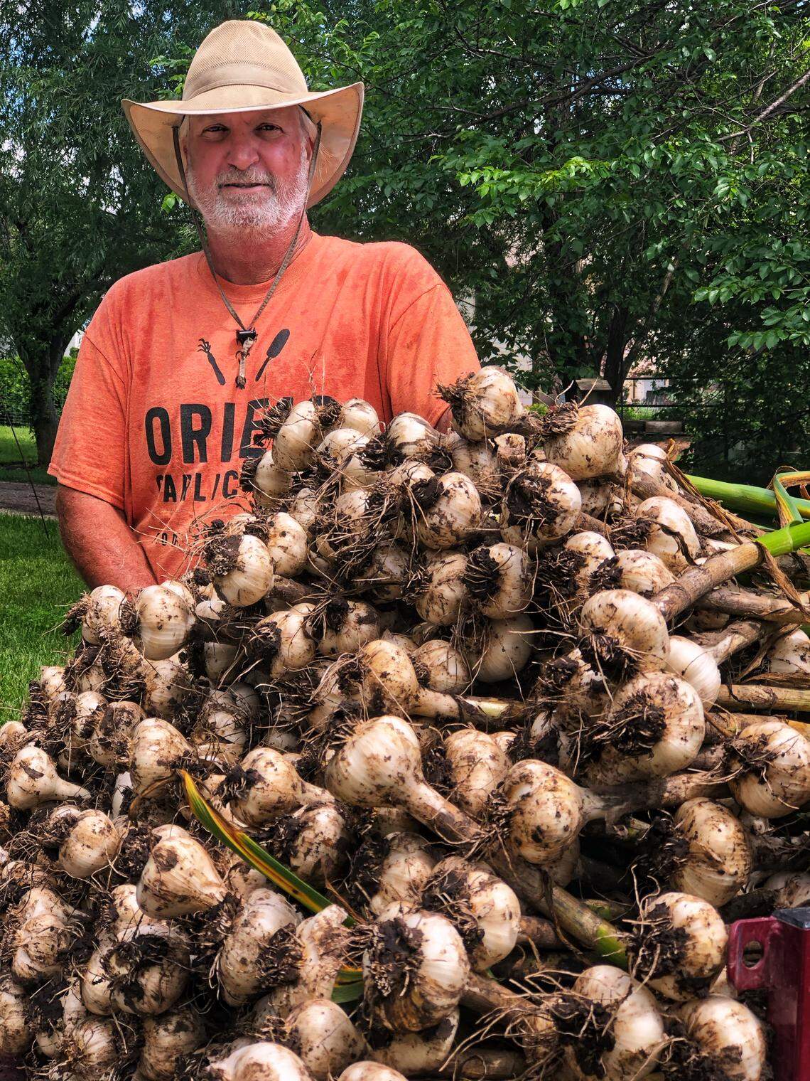 All things garlic will be celebrated during a two-day garlic festival at Eberly Farms.