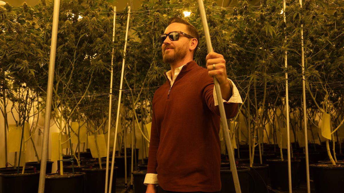 Kansas Natural Remedies COO Sam Jones is behind a potential bill to legalize medical marijuana in Kansas. His hemp production facility is in a former aircraft manufacturing building near downtown where intense lighting simulates daylight.