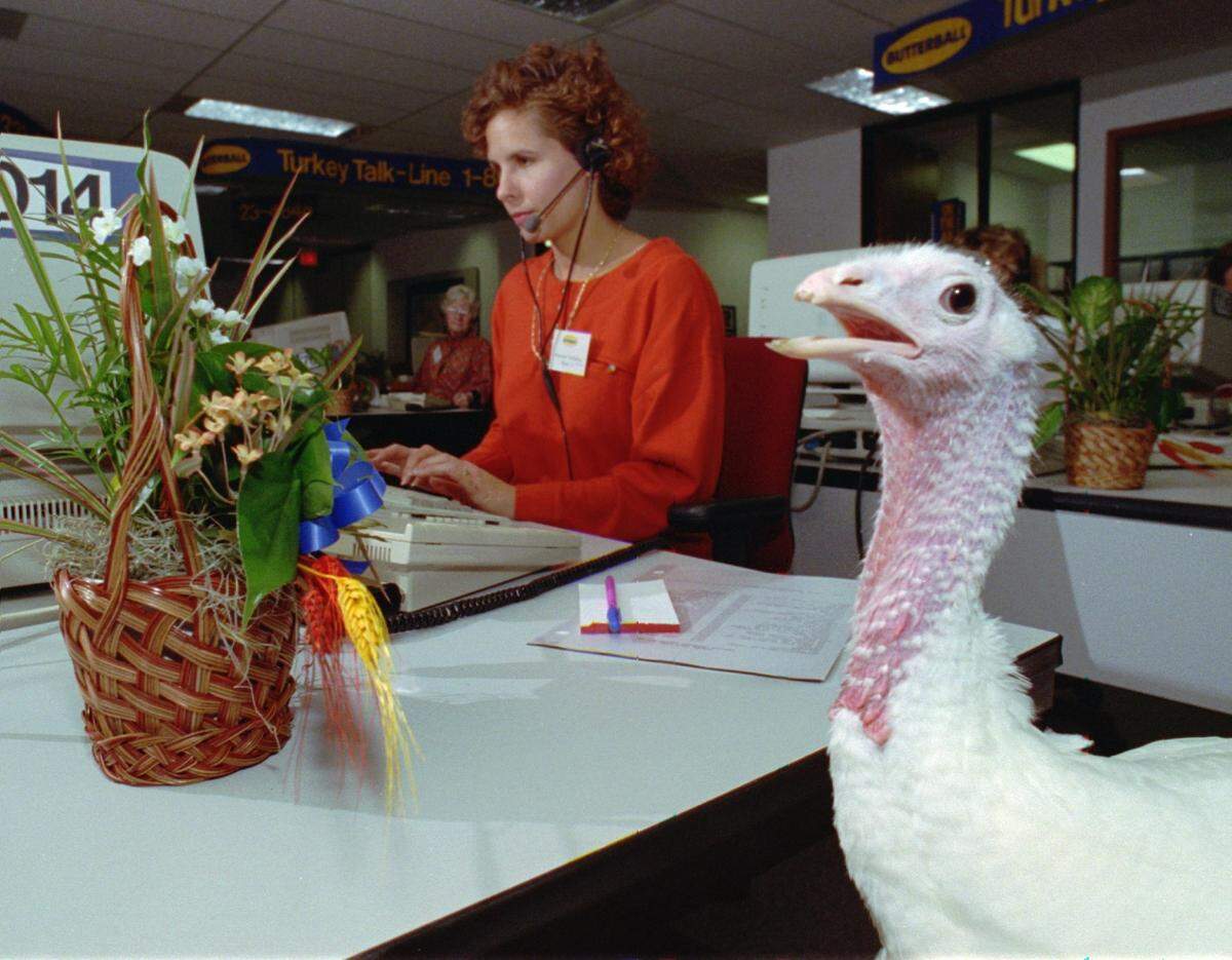 Butterball’s Turkey-Talk hotline was launched in 1981.