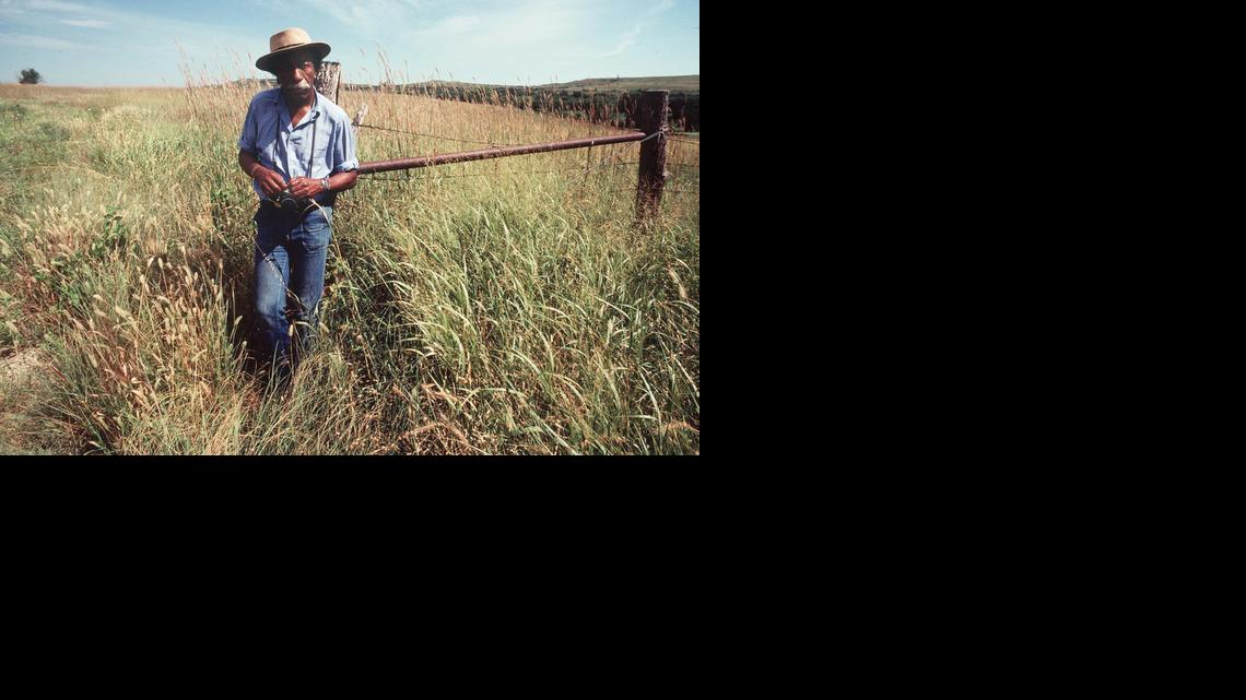 FILE Gordon Parks in the Konza Prairie near Manhattan, Kansas in 1979. 

