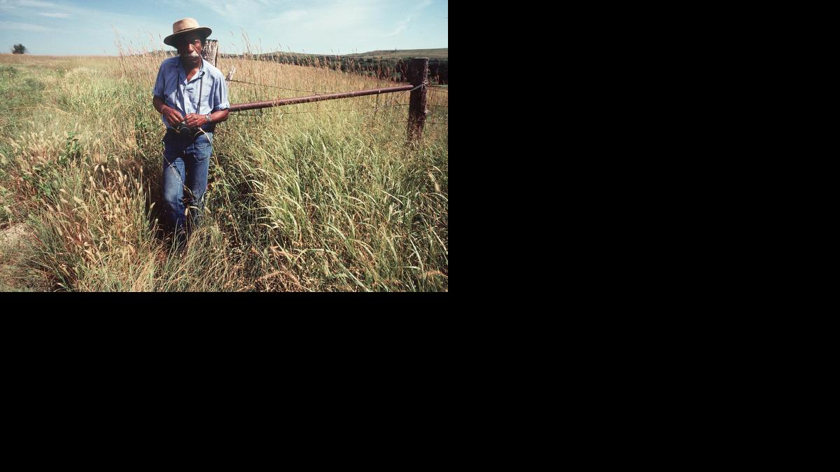 FILE Gordon Parks in the Konza Prairie near Manhattan, Kansas in 1979. 

