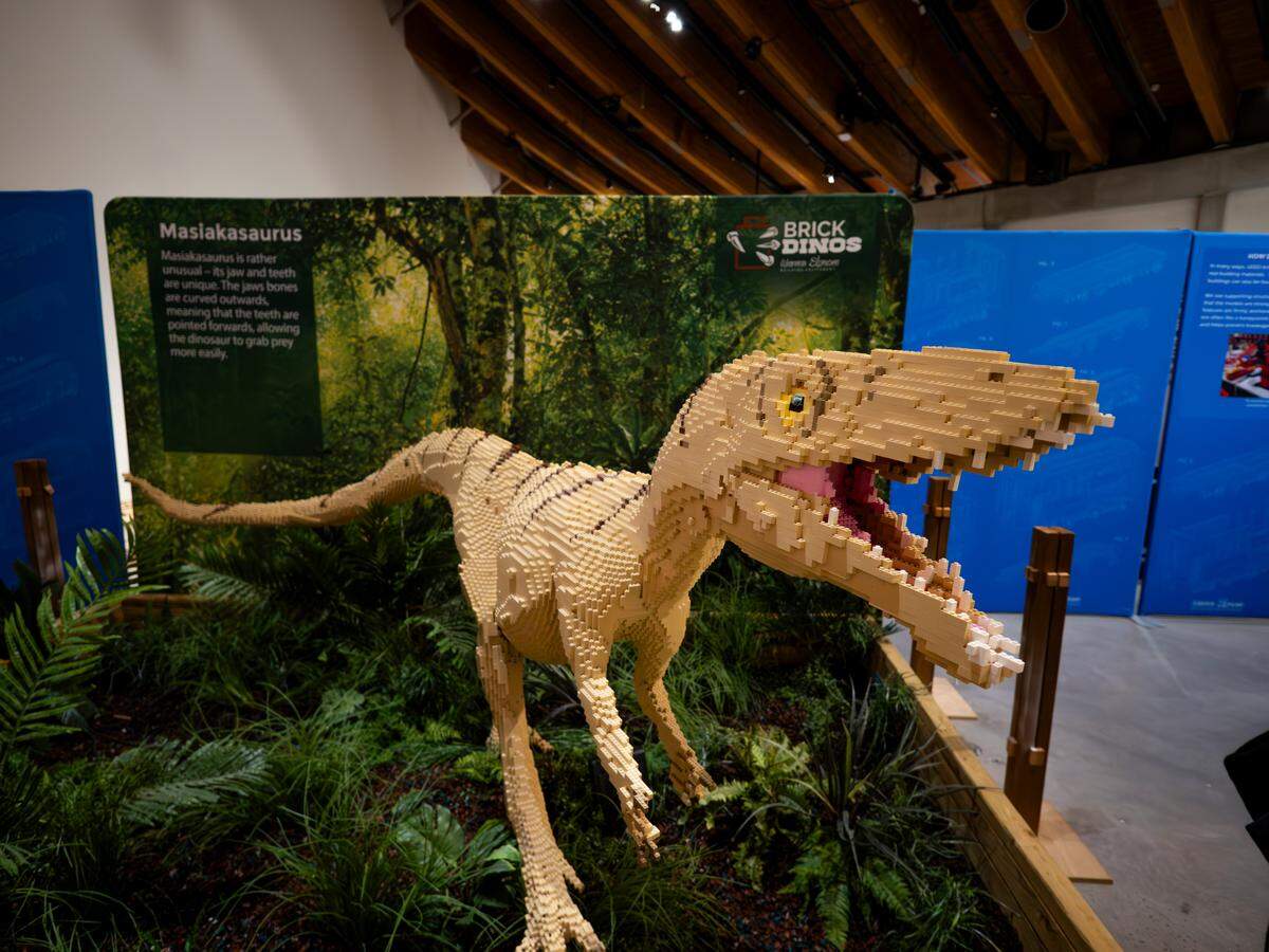 The “Brick Dino” section of Exploration Place’s new “Bricktopia” exhibit features 15 Jurassic-era dinosaur displays built by Lego master artist Warren Elsmore.