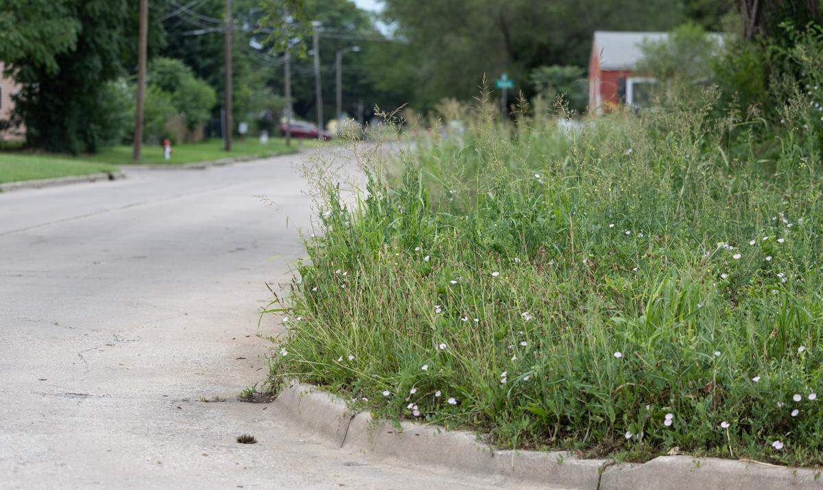 An untended lawn in north Wichita.