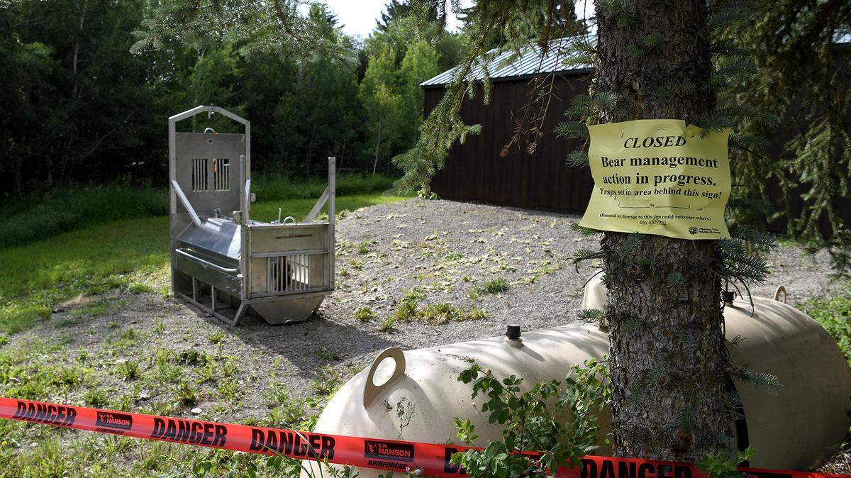 In this archive photo, a bear trap set by Montana Fish, Wildlife and Parks is seen in July 2021 in Ovando, Mont. Authorities said this week that they had euthanized a grizzly that fatally mauled a Kansas woman near West Yellowstone, Mont., in July.