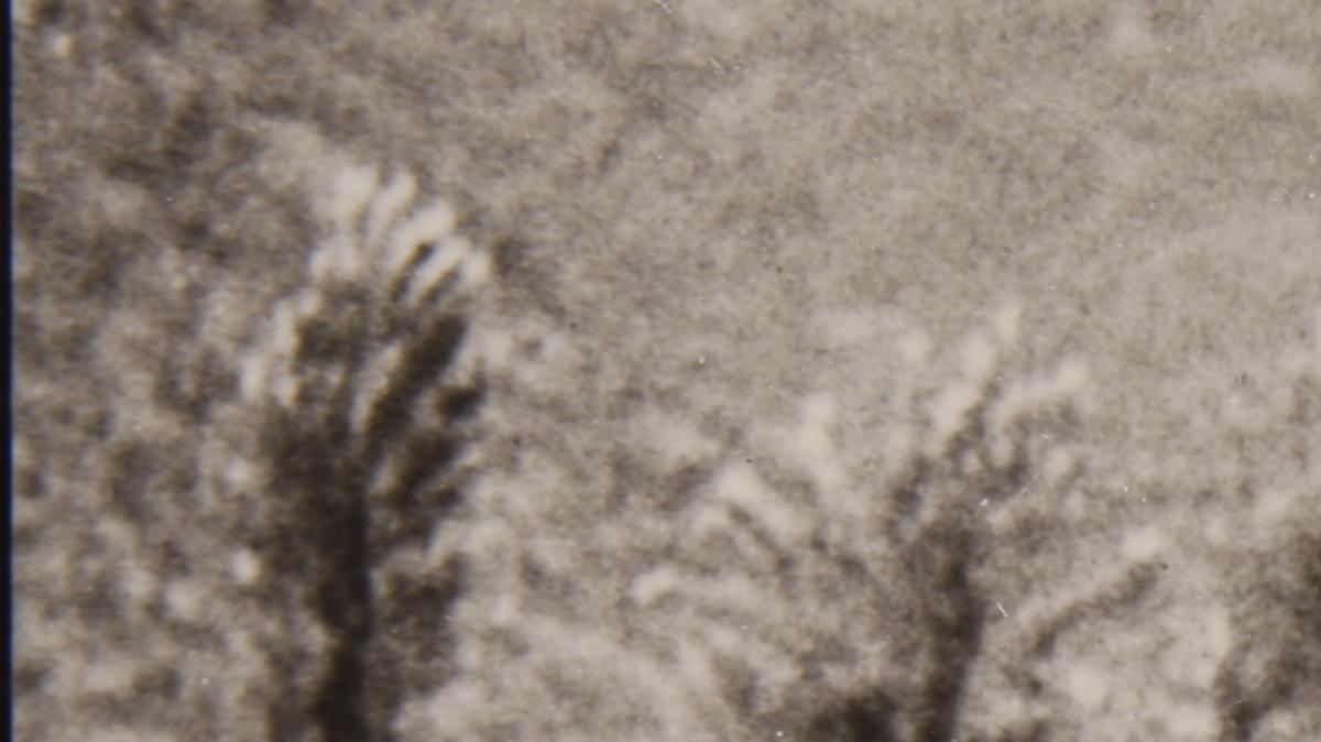 One of the two iconic photographs of Father Emil Kapaun shows him and
another soldier carrying an exhausted GI off a battlefield in Korean,
early in the war. The photo shows Kapaun to the GI's left. The soldier
on the GI's right side was Capt. Jerome A. Dolan;, a medical officer
with the 8th Cavalry regiment.