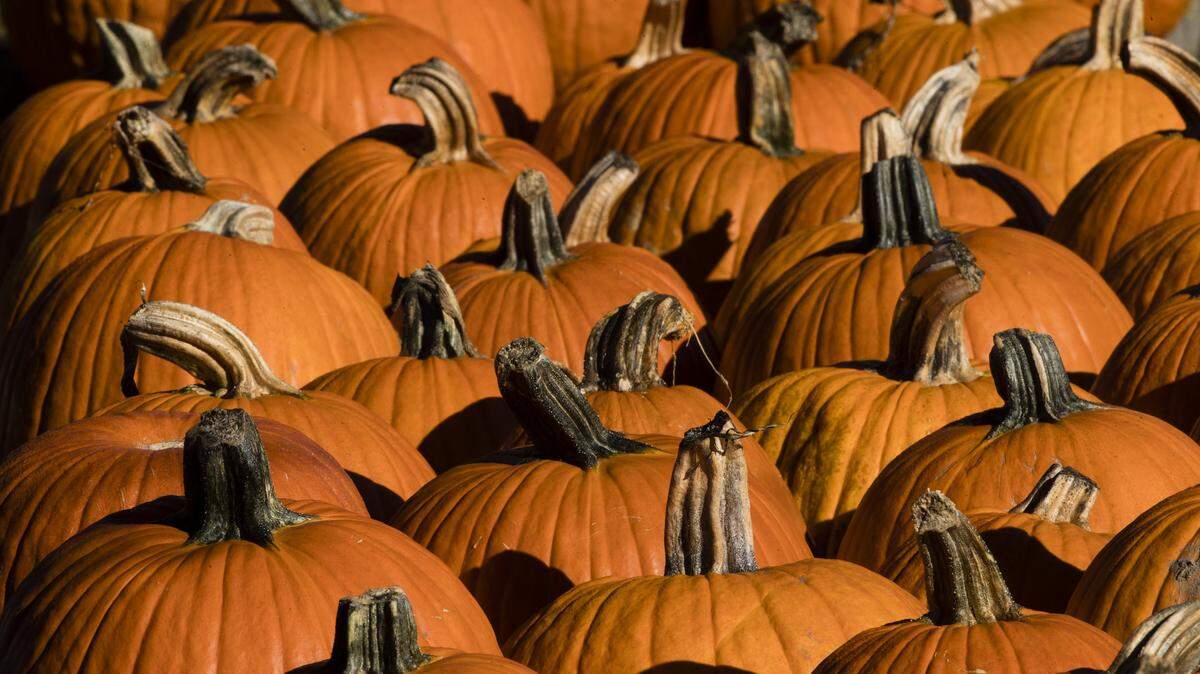 Pumpkins are an inexpensive way to welcome fall into the home.