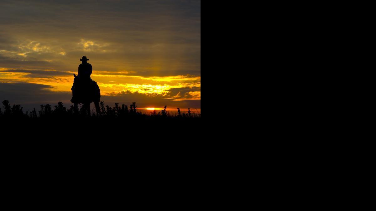 The sun rose behind ranch manager Cliff Cole as the roundup started on Thursday, July 17, 2014, southwest of Emporia, Kan.

