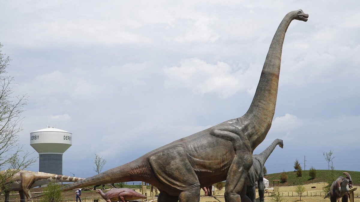 Field Station: Dinosaurs, in Derby, is participating in Sunflower Summer.