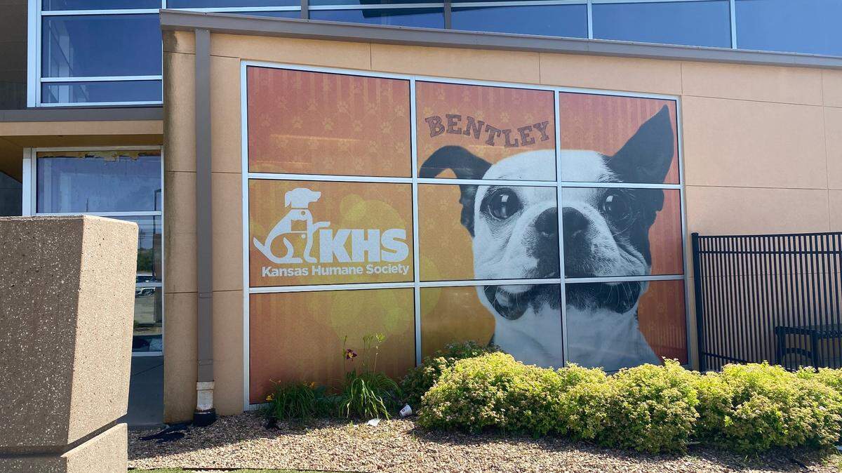 The Kansas Humane Society is located at 3313 N Hillside Street.