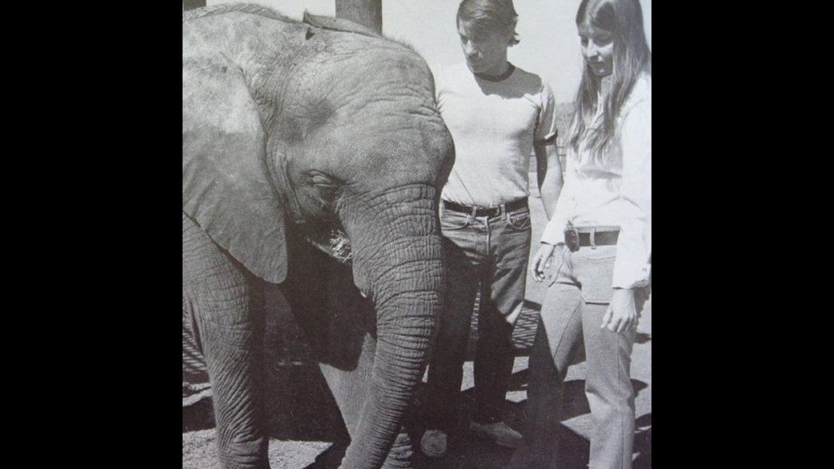 Barbara Hoppins, right, was an intern at the Sedgwick County Zoo while attending high school at West High. She’s pictured here in the late 1970s with Cinda the elephant and former zoo assistant director Bob Wisdom.