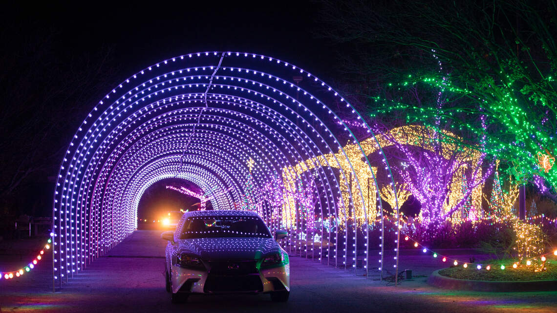 They spent months on this light display and really want you — and your dog — to see it